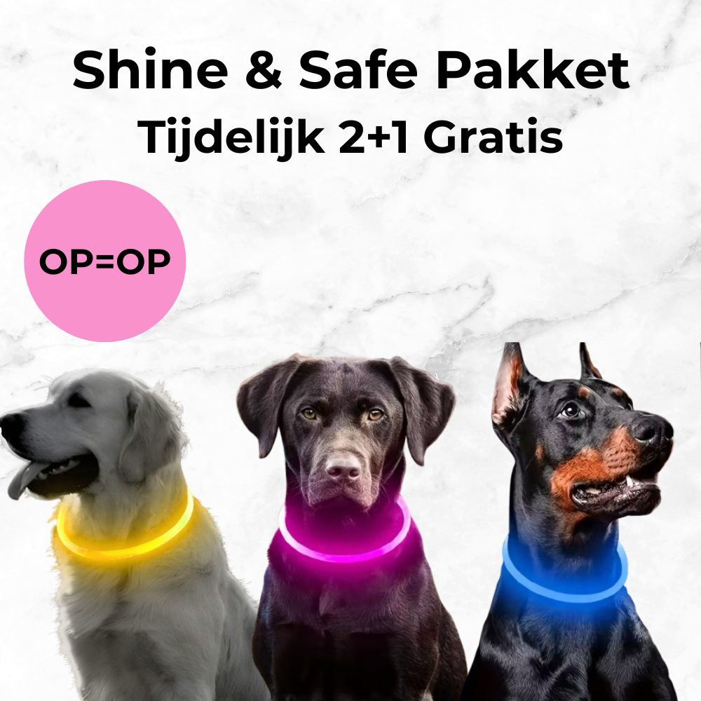 Shine & Safe - by wOOfy